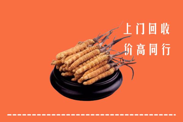 高价求购：淮安回收散虫草